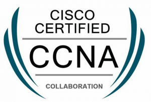CCNA Collaboration